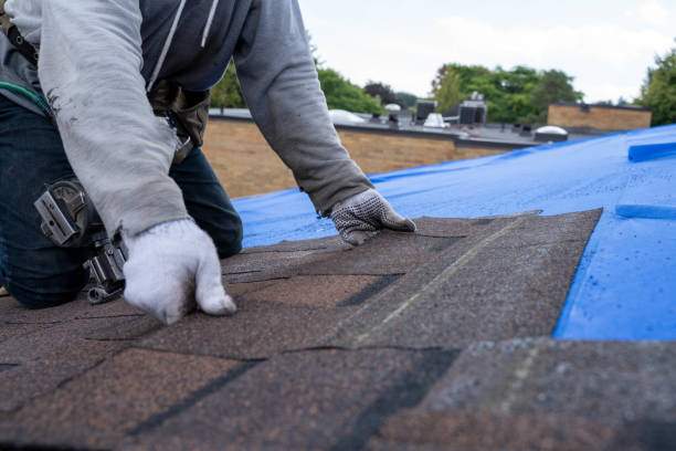 Best Gutter Installation and Repair  in Caledonia, MS